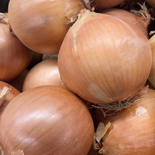 Onion Spanish/大洋葱 50LB/Box