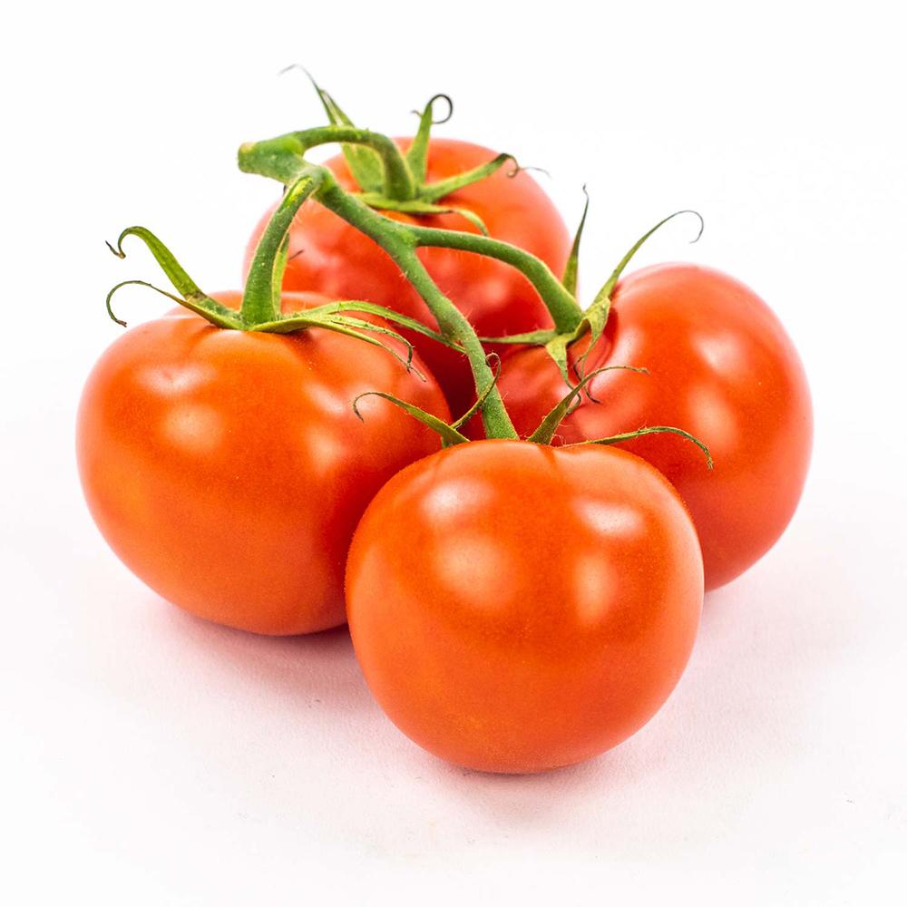 Tomato Vine/有枝番茄 11lb