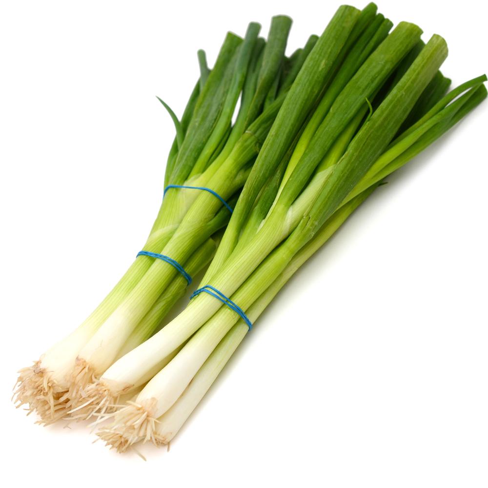Onion Green/青蔥
