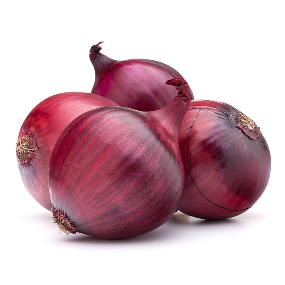 Onion Purple/紫洋蔥 25LB/Box
