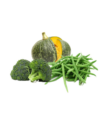 Broccoli & Beans & Squash