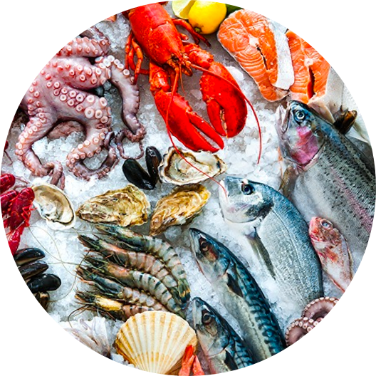 Seafood