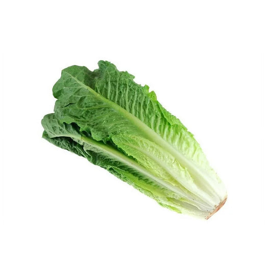 Lettuce Romaine/西生菜