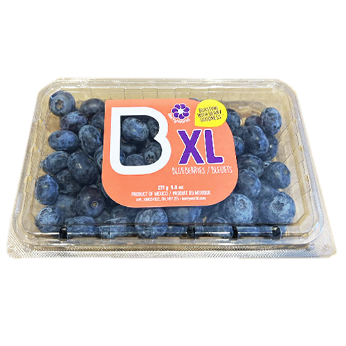 Berry World Blueberries XL 277g