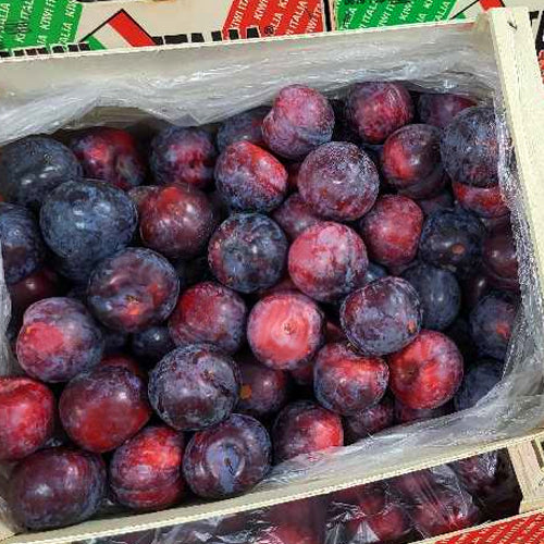 Red Plums