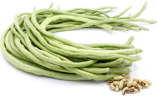 White long bean