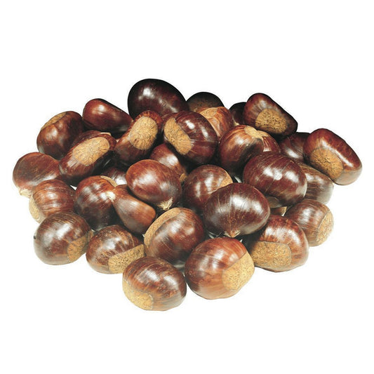 Chestnut