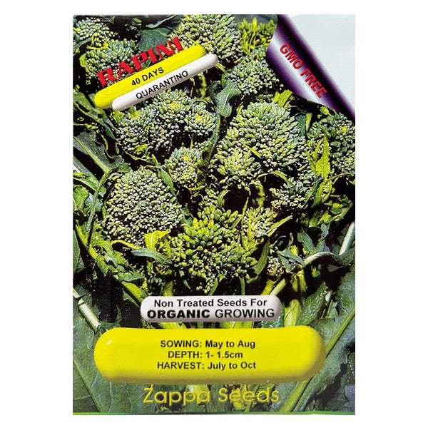 Rapini Quarantino Seeds