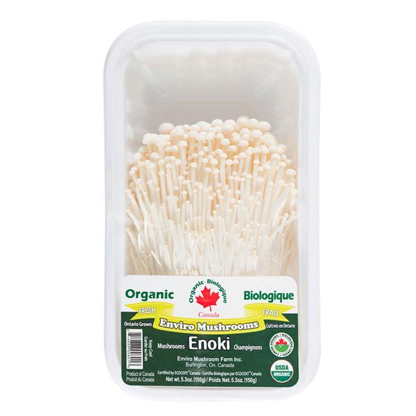 Organic Enoki Mushroom