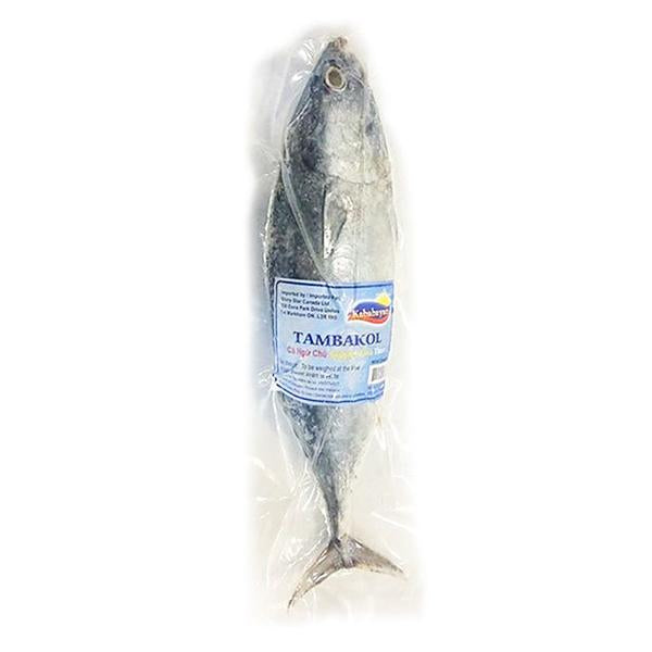 Kababayan Tambakol-Skipjack Tuna