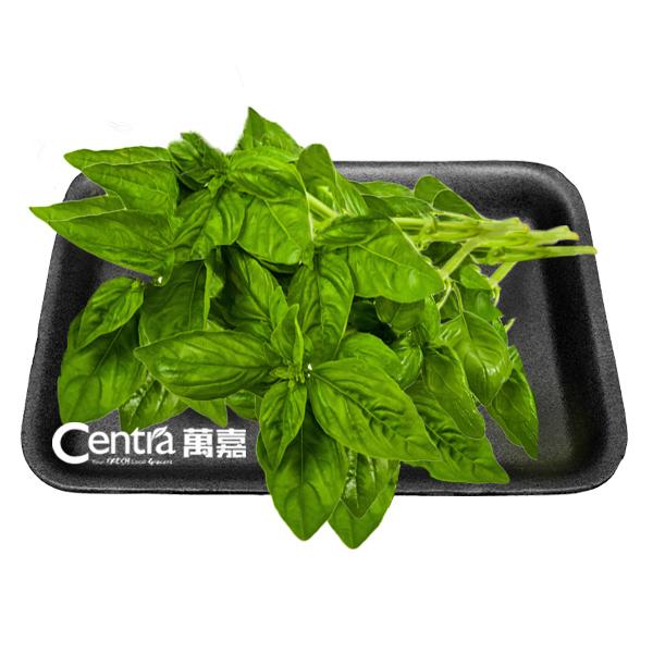 Cinnamon Basil