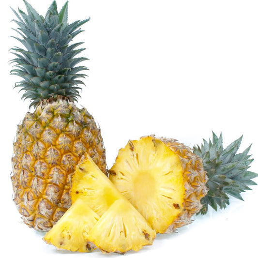 Sweet Pineapple Ripe on Tree