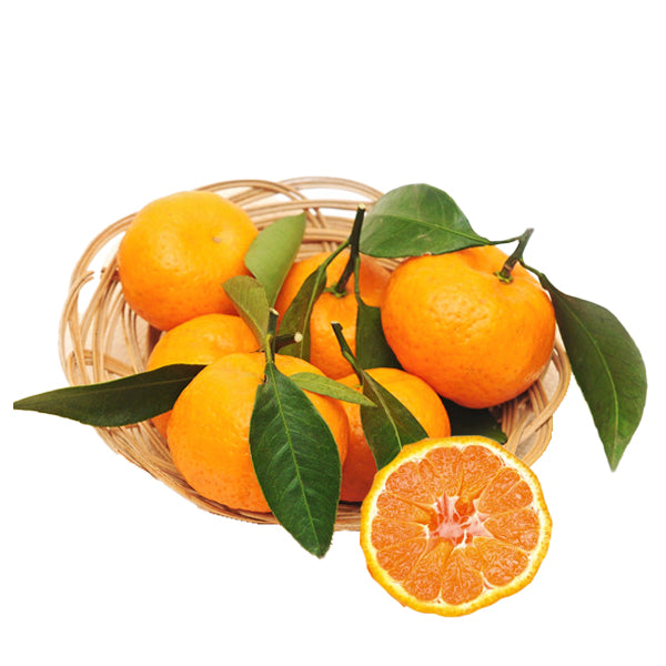 Sweet Mandarin with Leaves