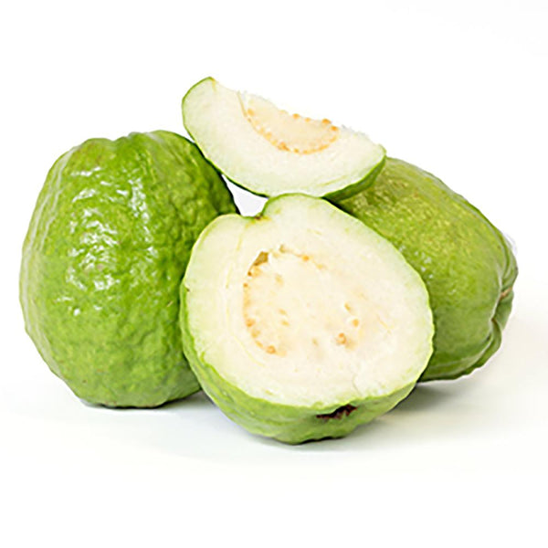 Taiwan Guava