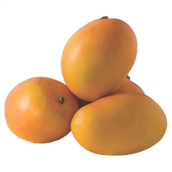 Sweet Mango