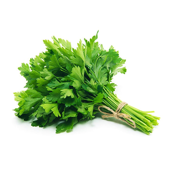 Italian Parsley