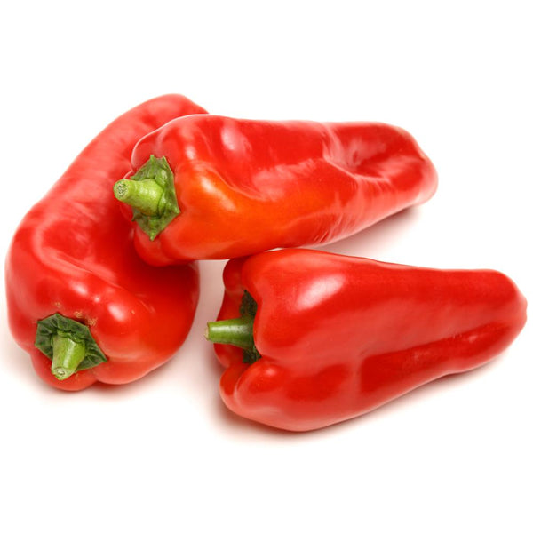 Red Long Pepper-Sweet (Shephered Peppers)