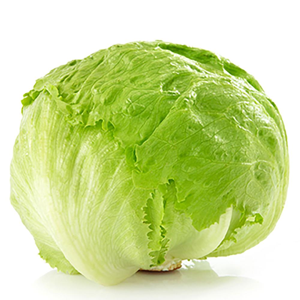 lettuce Iceberg/圓生菜 24pc