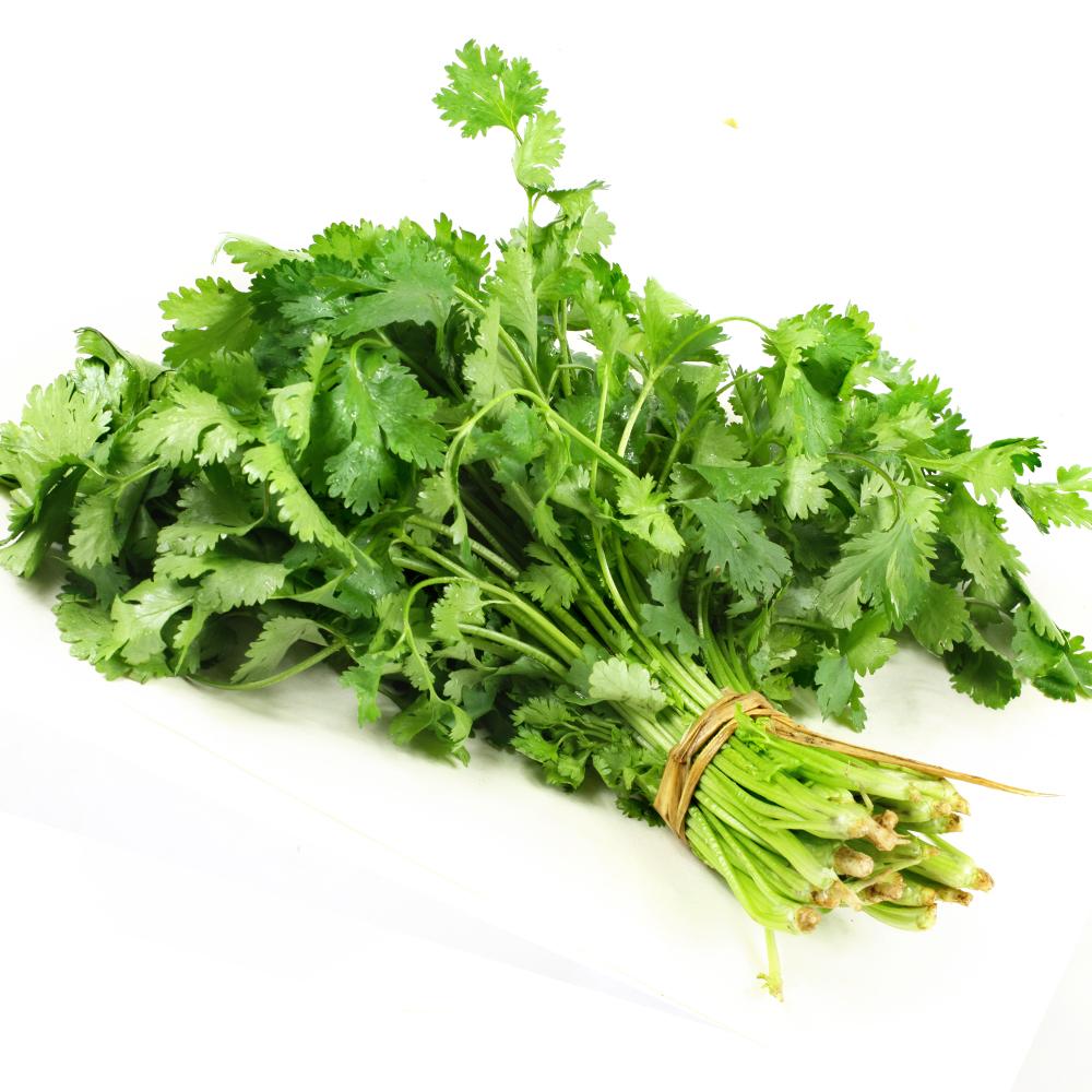 Coriander/香菜 24 bunch