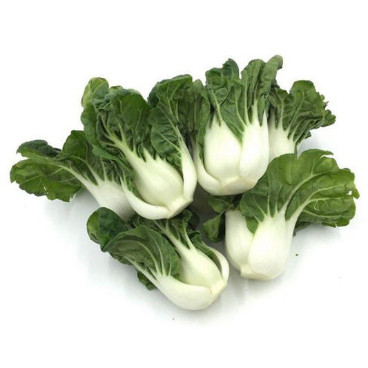 Naiyu Bok Choy/奶油白菜  30Lb