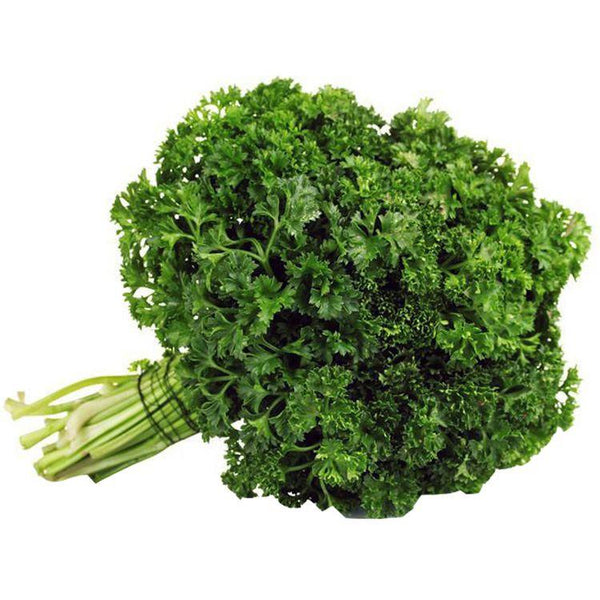 Curly Parsiey