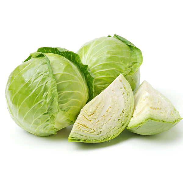 Cabbage/椰菜