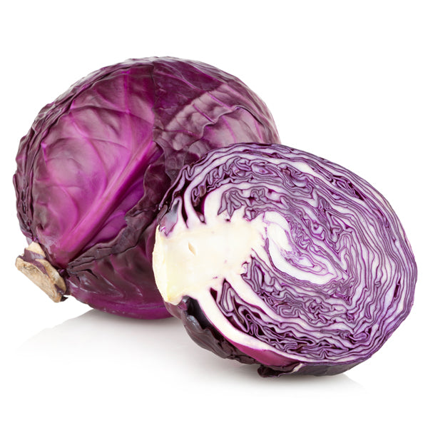 Cabbage Purple/紫椰菜