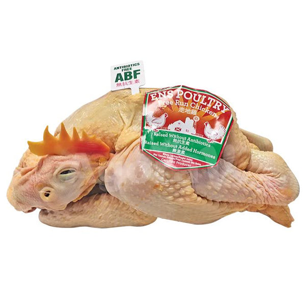 ABF Freerun Chicken