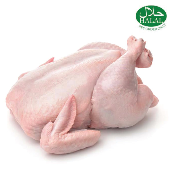 Halal Whole Chicken